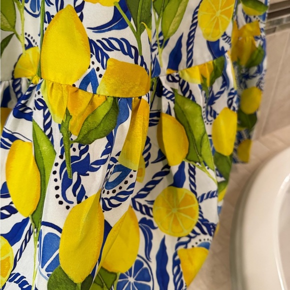 Kenny flowers Amalfi NWT-lemon print resort dress with elastic back - Picture 12 of 13